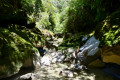 Gorge
