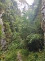 Gorges de la Frau (mont&eacute;e)