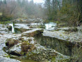 Lapiaz, cascade, résurgence et canyons autour d'Artemare