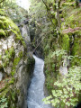 Gorges des Tines