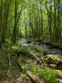 Gorges du Trinquelin