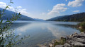 Goßer Alpsee - Runde oberhalb und am Rand des Sees