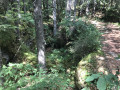 Gouffre