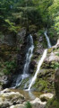 Goutte des Saules