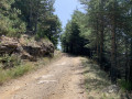 GR 7-67-70