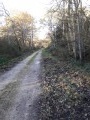 GR de Pays de Sologne