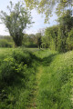 GR365 ou Chemin de Saint de Compostelle de Tours à Saintes