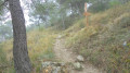 GR51 en direction du col de Bordinas GR51 en direction du col de Bordinas