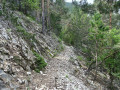 GR9 en forêt GR9 en forêt