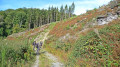 Grand chemin Grand chemin