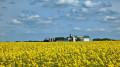 Silos.