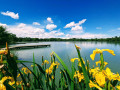 Grand lac de Peyssies