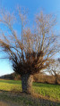 Entre Le Homberg et le Bruchberg au cœur des collines du Bas-Sundgau