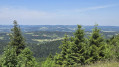 Grand Taureau