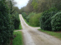 Campagne de Locronan et lisière du Bois du Névet