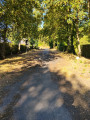 Main path
