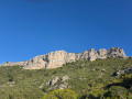 Grande T&ecirc;te