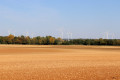 Parc éolien et campagne de Saint-Pierre-de-Jards
