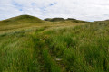 Earl’s Seat, Campsies Earl’s Seat, Campsies