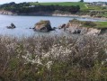 Grève de Porslous.