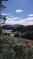 Gribbin Head from the path