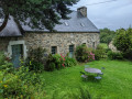 Gris, vert et beige