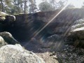 Charme du sud de la forêt de Fontainebleau