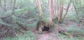 Grotte de Nutons?