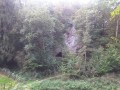 Grotte du Coléoptère Grotte du Coléoptère