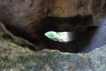 De l'Abbaye de Trizay à la Grotte du Creux Nègre