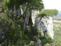 Grotte