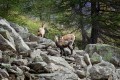 Le sentier des lacs Le sentier des lacs