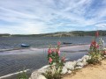 L'Etang de Gruissan, La Capoulade et la Tour de Barberousse