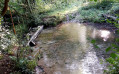De la Canche au Bois de Mortagne