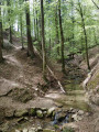 Gué du ruisseau du Genon