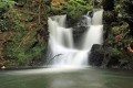 Gushing waterfall
