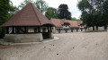 Haras