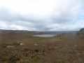 Harbottle Lake