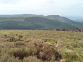 Hasty Bank and Cringle Moor