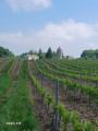 Haut du Tertre de Thouil