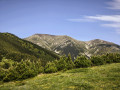 Les Queroses - Coll de Bise - La Parcigoule Les Queroses - Coll de Bise - La Parcigoule