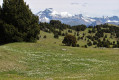 Hauts Plateaux du Vercors