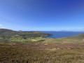 Heather, sea and sky