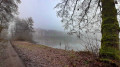 Heideweiher