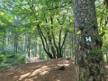 Fischbek bis Buchholz auf dem Heidschnuckenweg (Etappe 1)