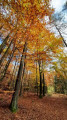Walderlebnispfad Winterleite Pressath Walderlebnispfad Winterleite Pressath