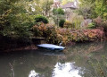 Héron au bord de l'Yerres