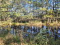 Müritz-Nationalpark: Von Boek nach Schwarzenhof