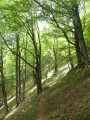 Coll de Pregon et de Siern, Serra et Baraques de l’Ullat depuis la Preste