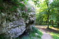 Hexenfelsen